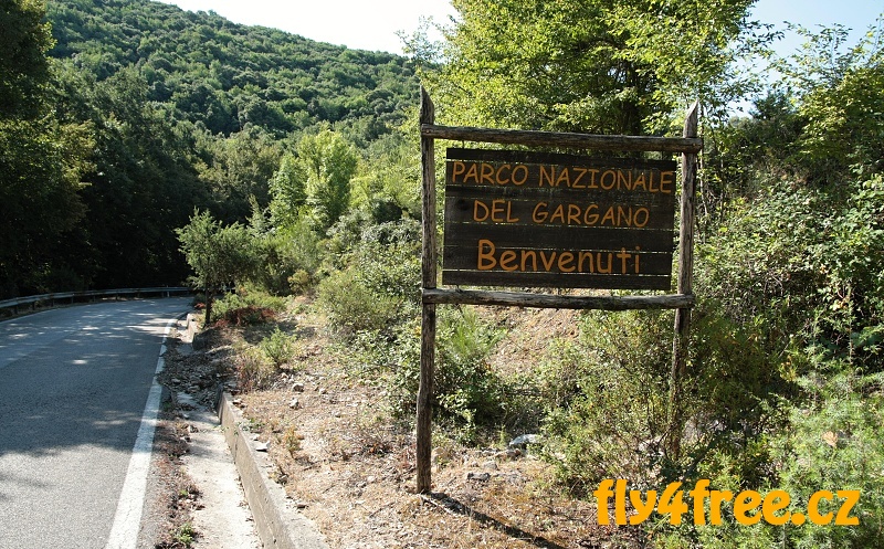 img00047.jpg