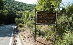 thn00047.jpg