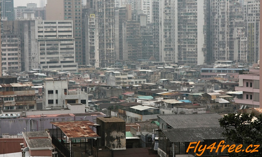 img00037.jpg