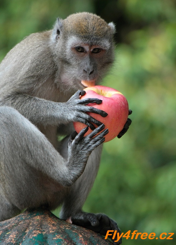img00043.jpg