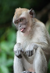 thn00046.jpg