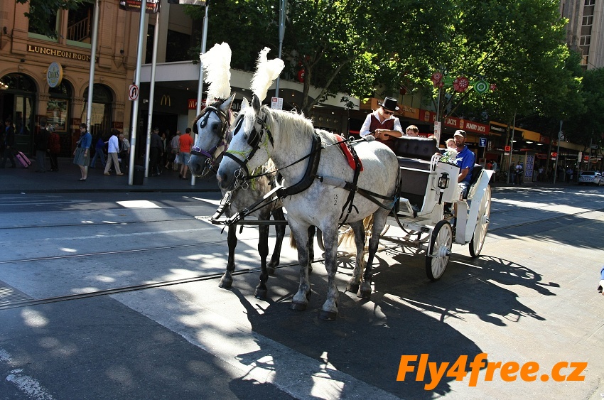 img00003.jpg