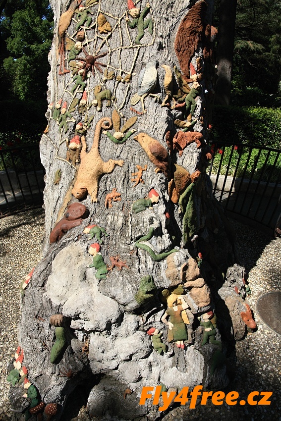 img00049.jpg