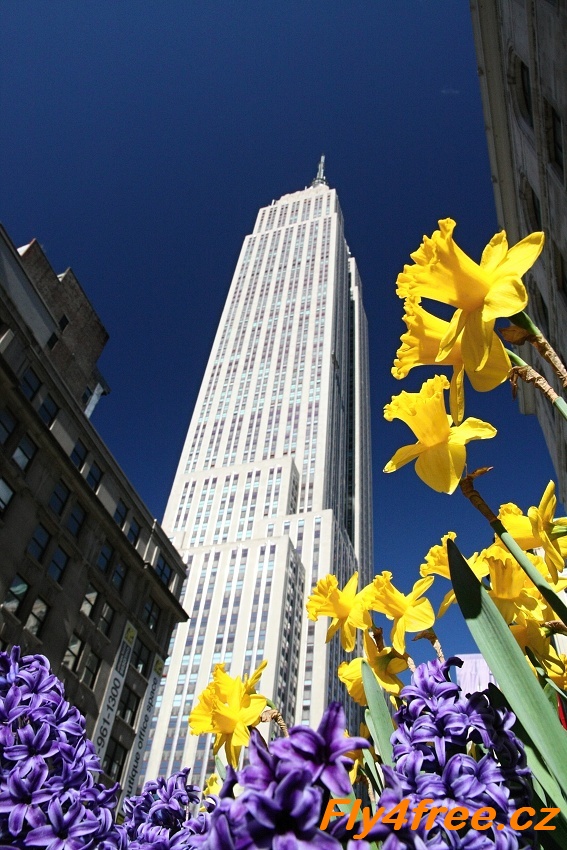 img00013.jpg