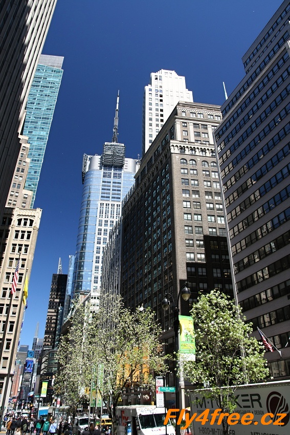 img00031.jpg