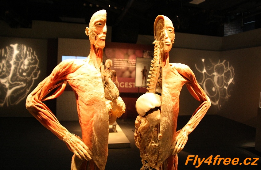 img00059.jpg