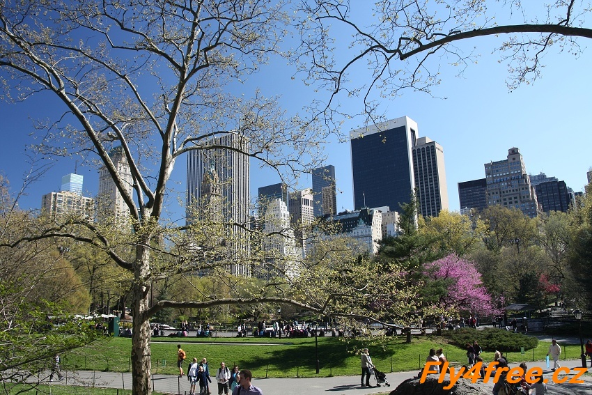 img00065.jpg