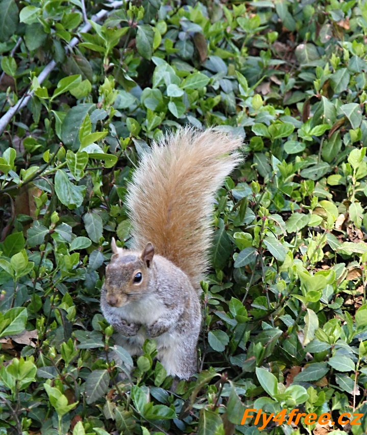 img00069.jpg