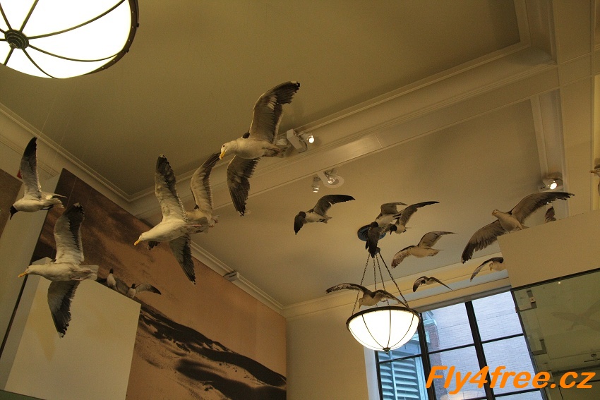 img00120.jpg