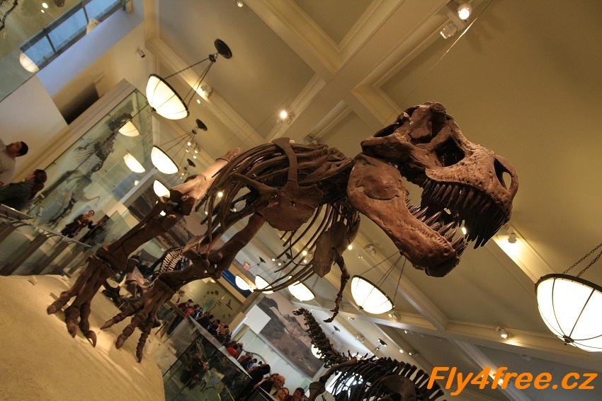 img00121.jpg