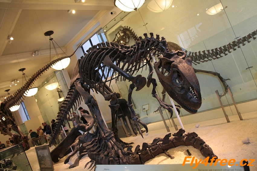 img00122.jpg