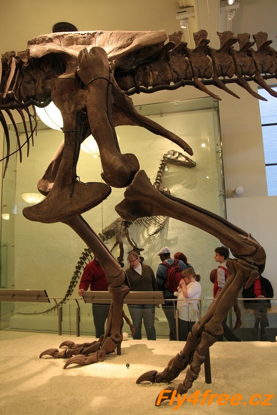 img00123.jpg