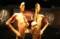 thn00059.jpg