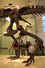 thn00123.jpg