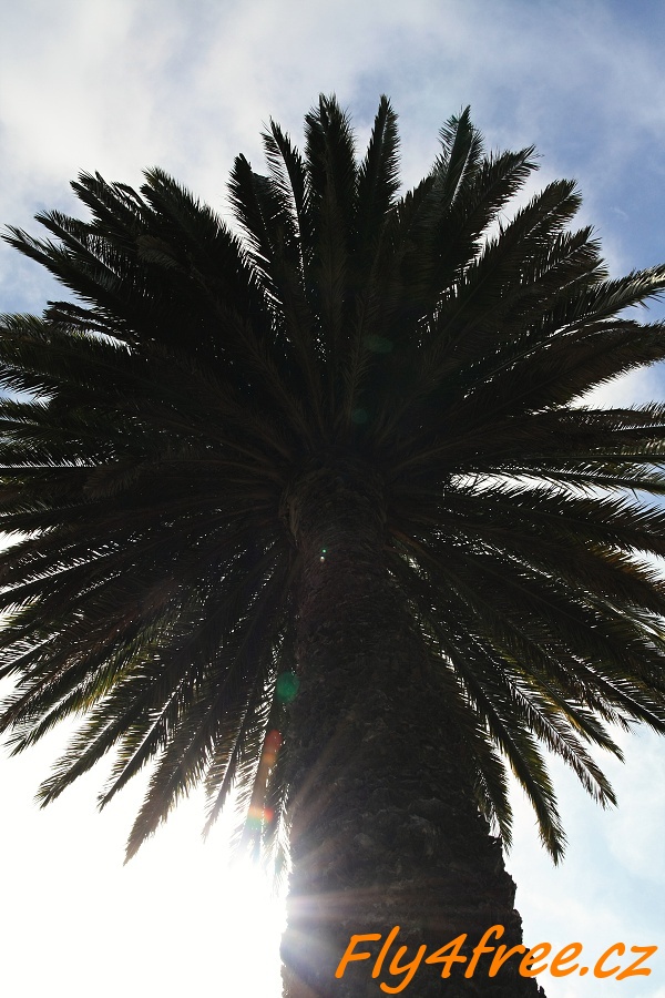 img00005.jpg