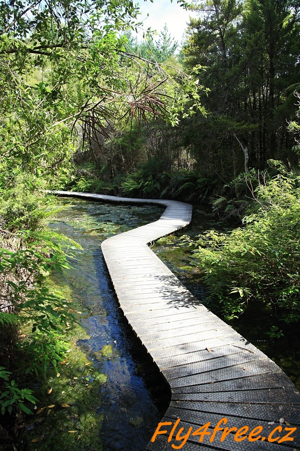 img00018.jpg