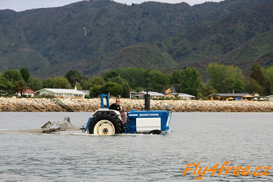 img00022.jpg