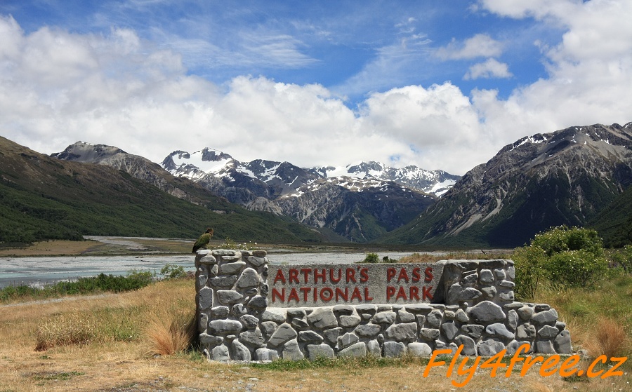 img00046.jpg