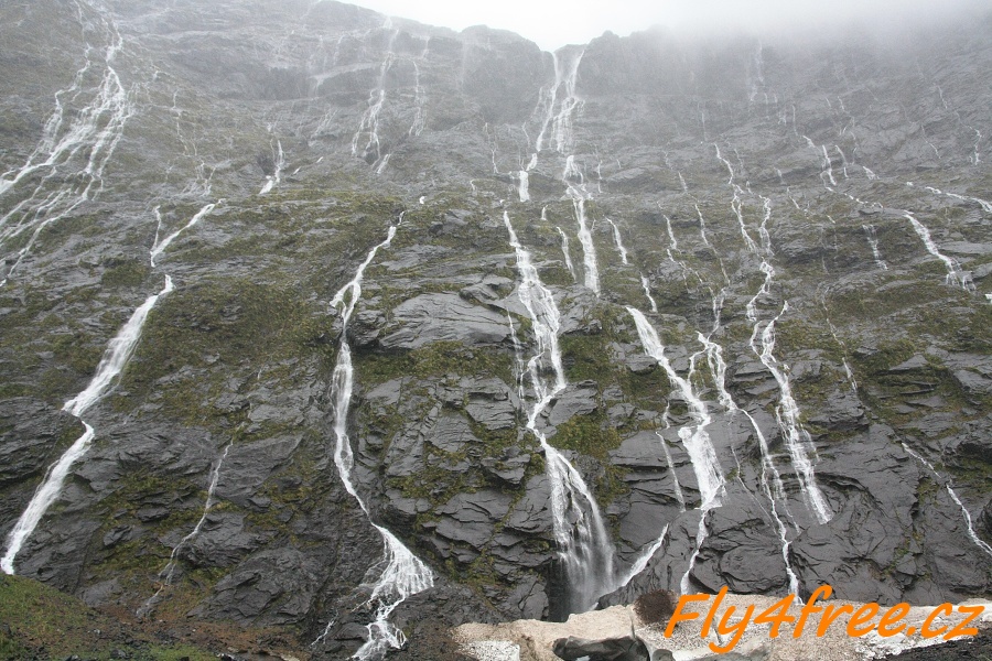 img00104.jpg