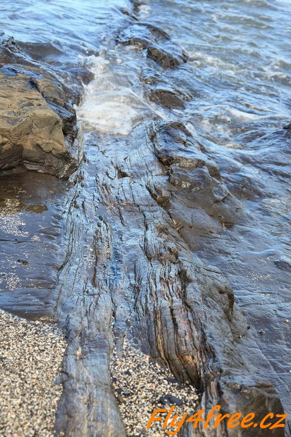 img00115.jpg