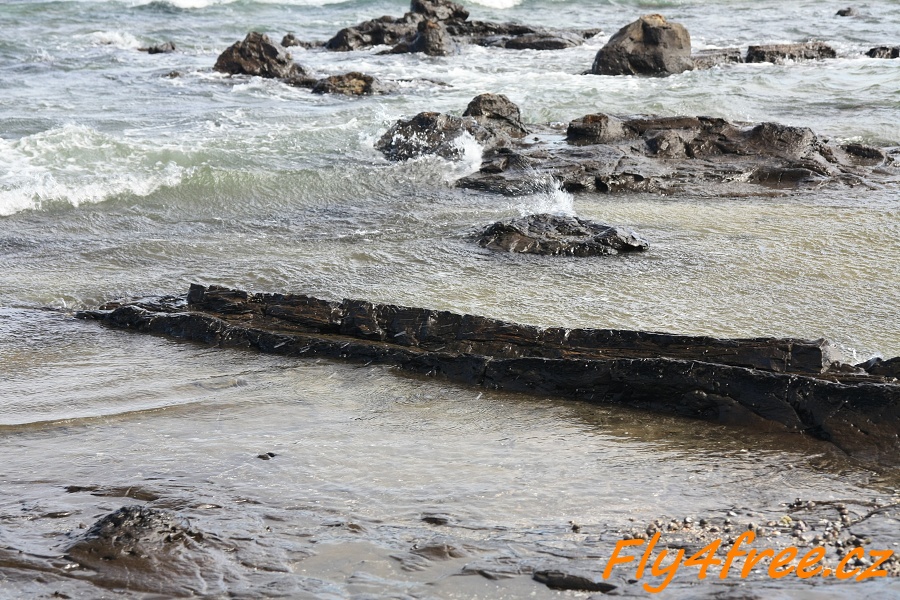 img00116.jpg