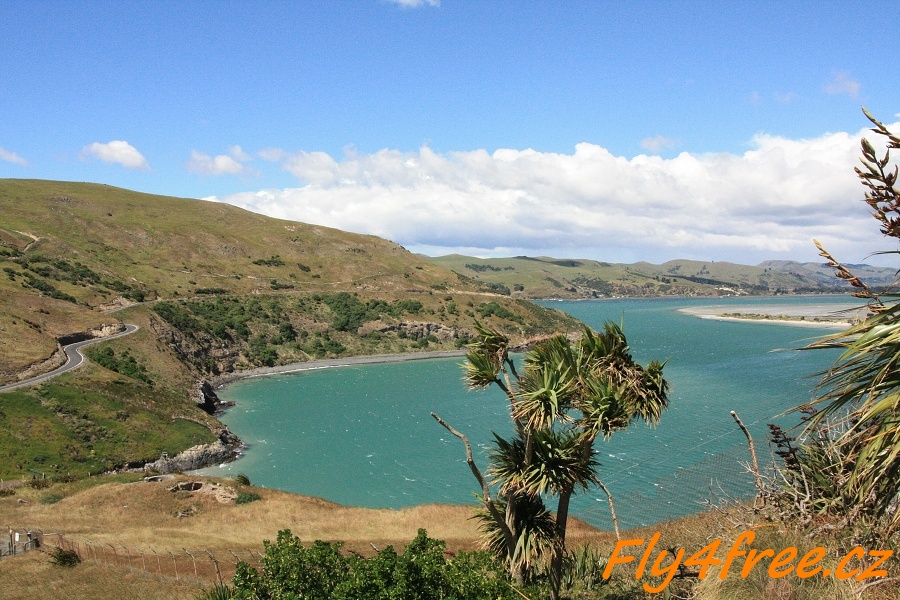 img00125.jpg