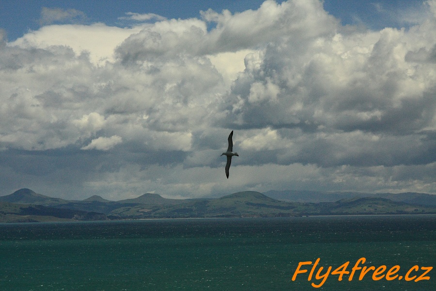 img00126.jpg