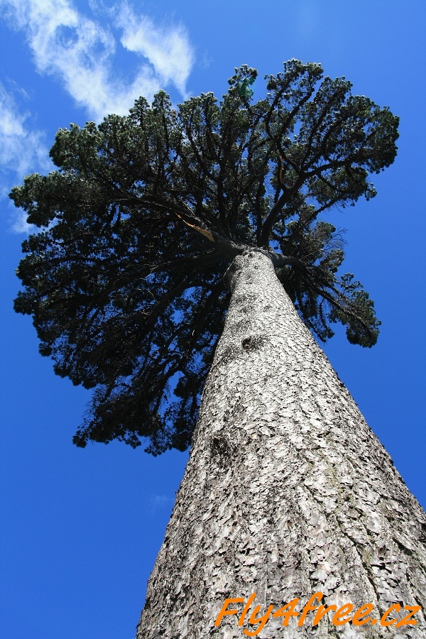 img00136.jpg