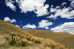 thn00072.jpg