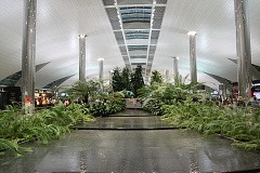 thn00213.jpg