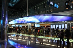 thn00214.jpg