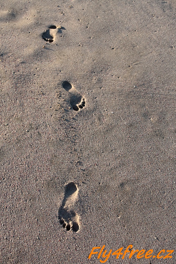 img00014.jpg