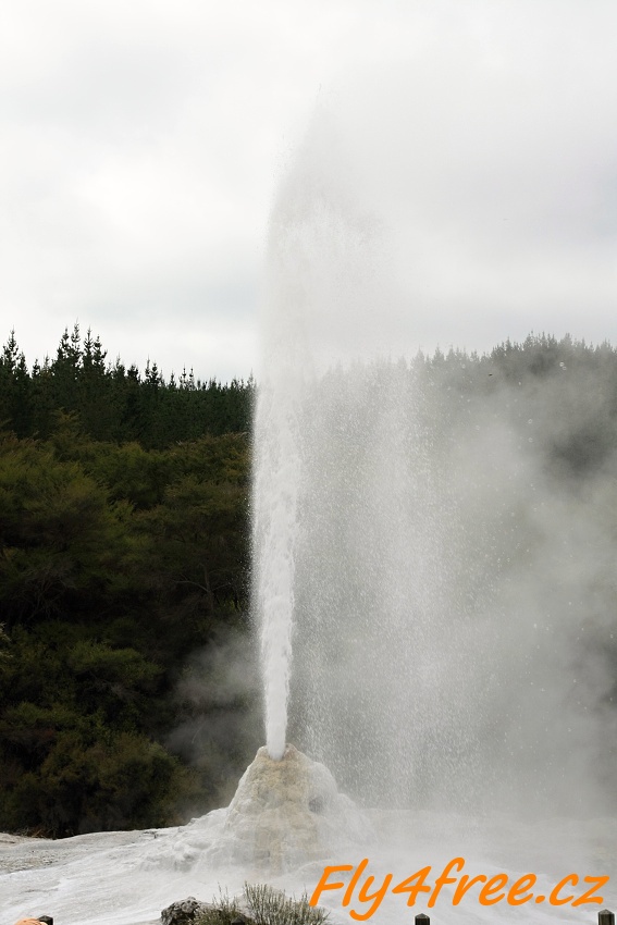 img00030.jpg
