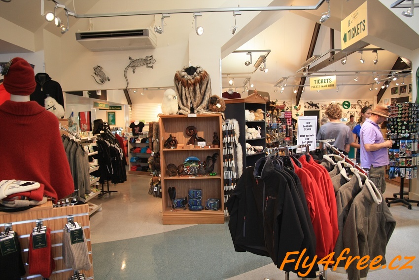 img00038.jpg