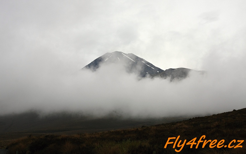 img00043.jpg