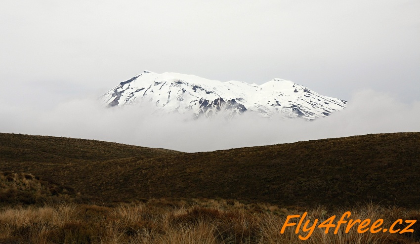 img00044.jpg
