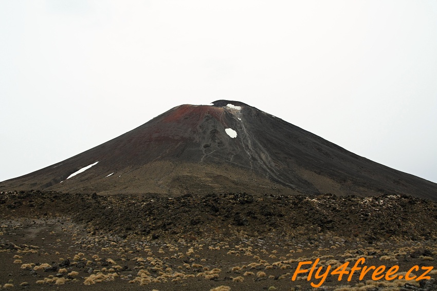 img00045.jpg