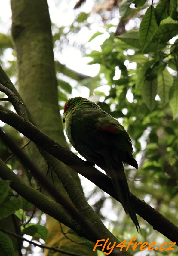 img00060.jpg