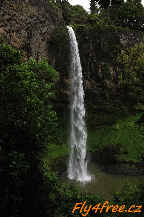 img00062.jpg