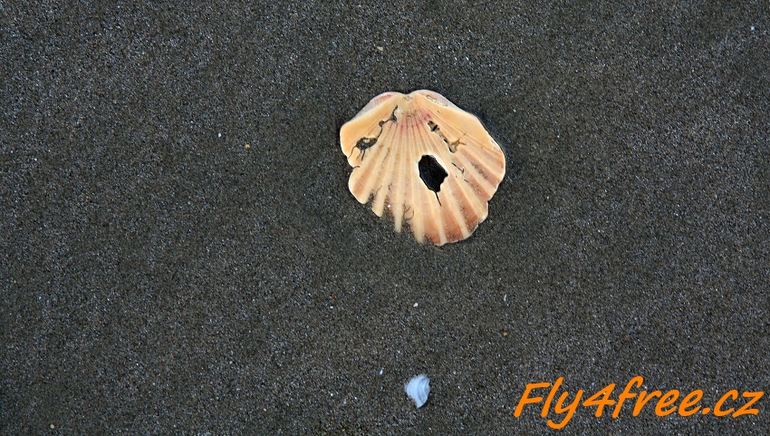 img00069.jpg