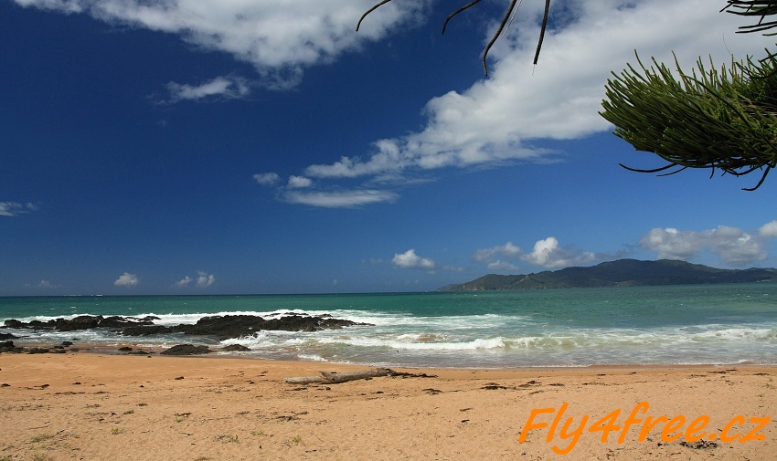 img00110.jpg