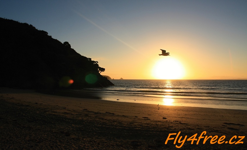 img00114.jpg