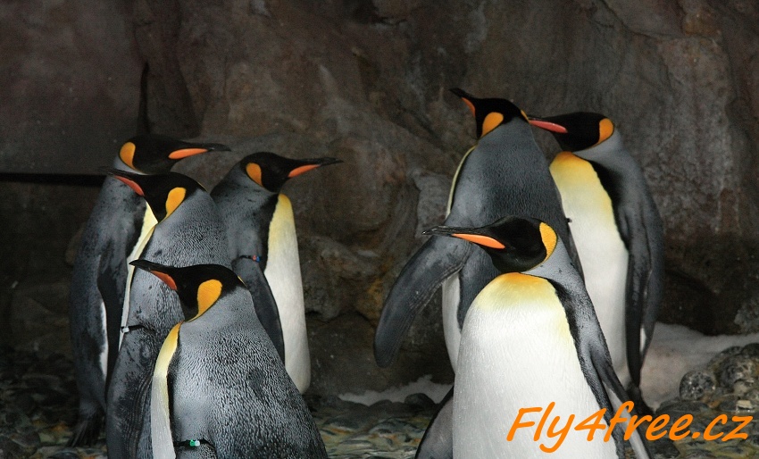 img00130.jpg