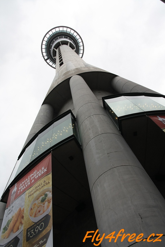 img00138.jpg
