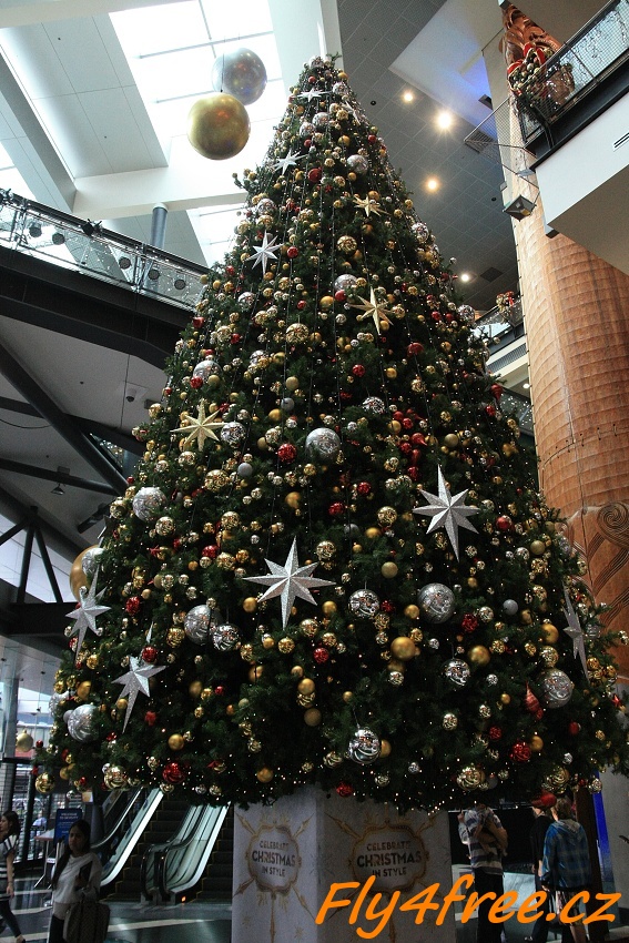 img00139.jpg