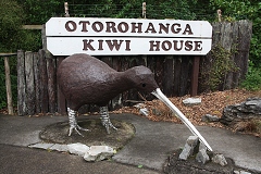 thn00058.jpg