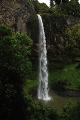 thn00062.jpg
