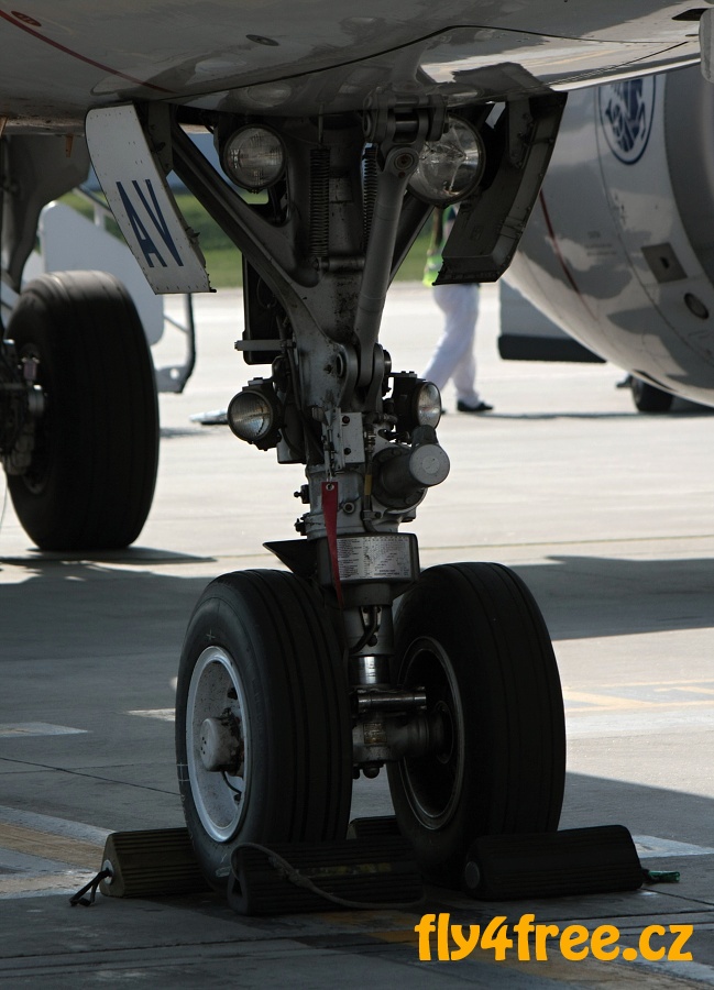 img00007.jpg