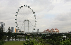 thn00021.jpg