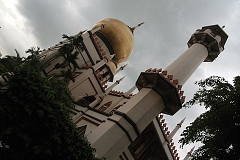 thn00038.jpg